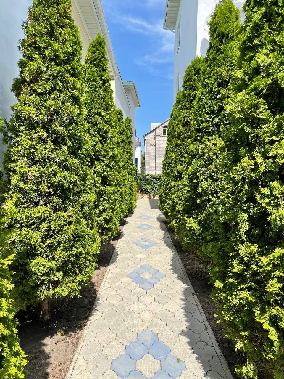 Гостевой дом Дуэт Анапа-132