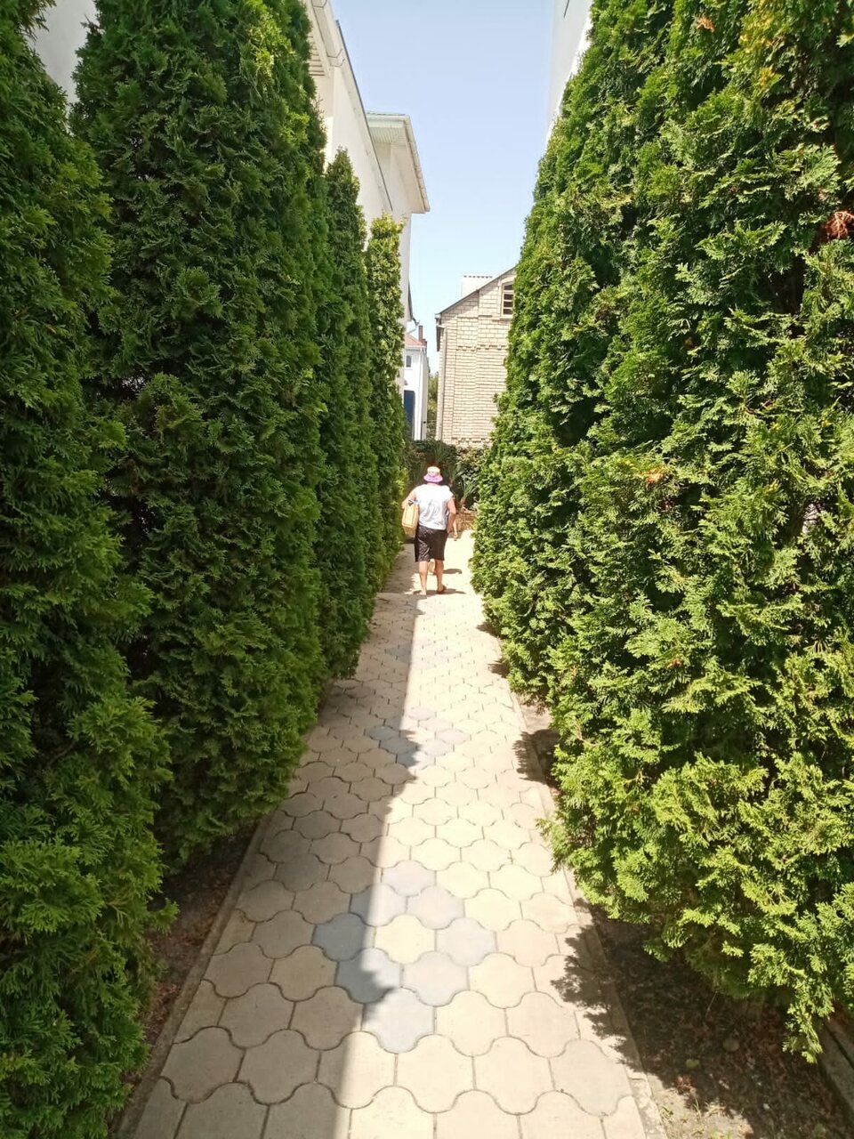 Гостевой дом Дуэт Анапа-166