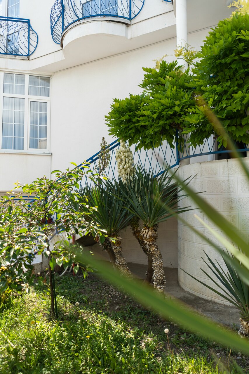 Гостевой дом Дуэт Анапа-54