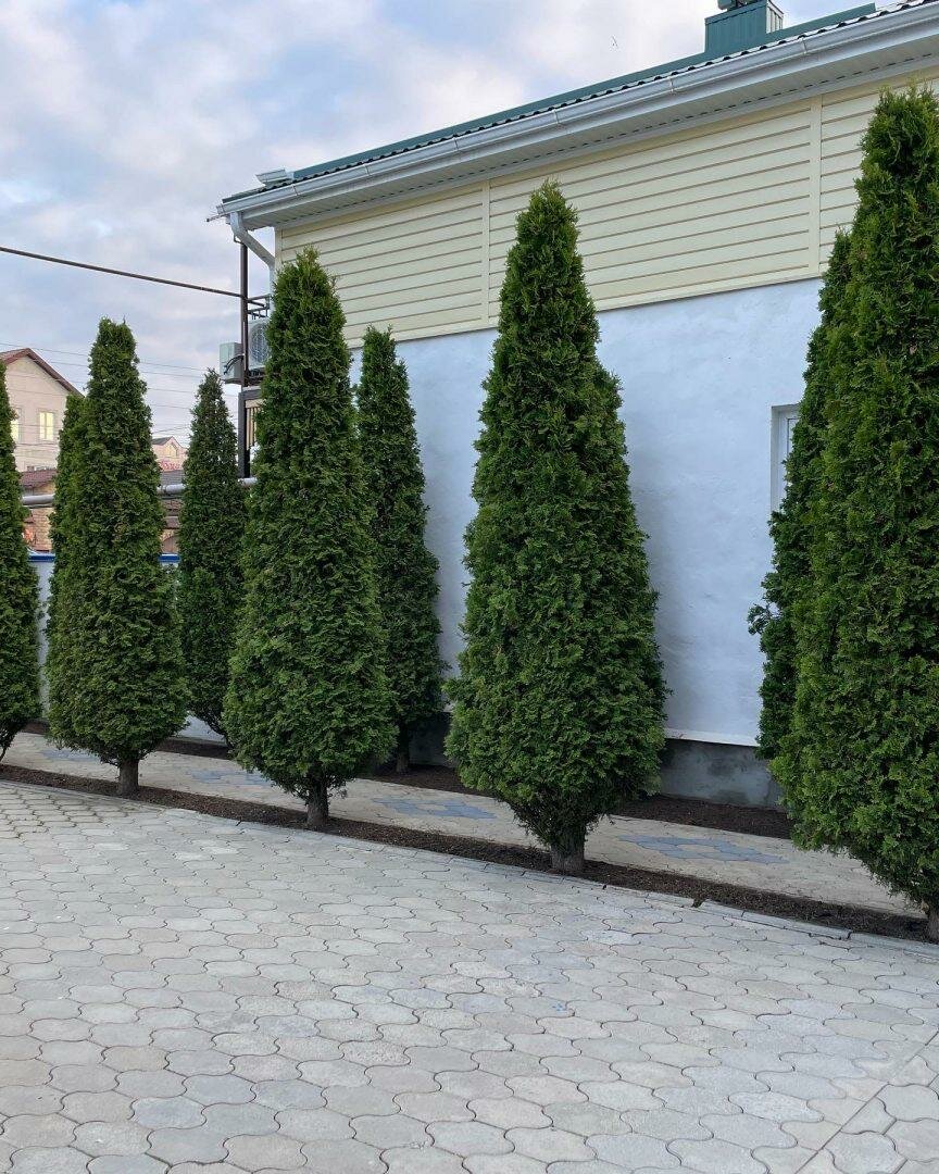 Гостевой дом Дуэт Анапа-72