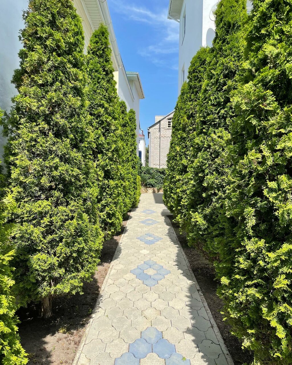 Гостевой дом Дуэт Анапа-79