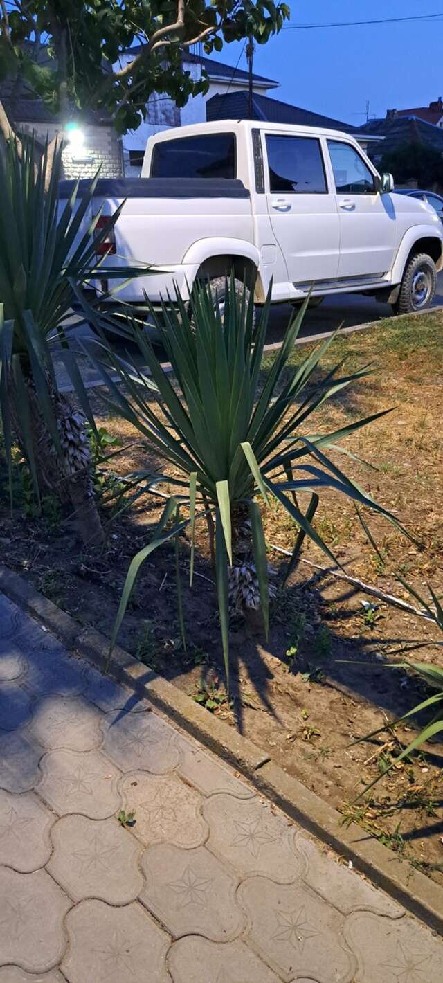 Гостевой дом Дуэт Анапа-138