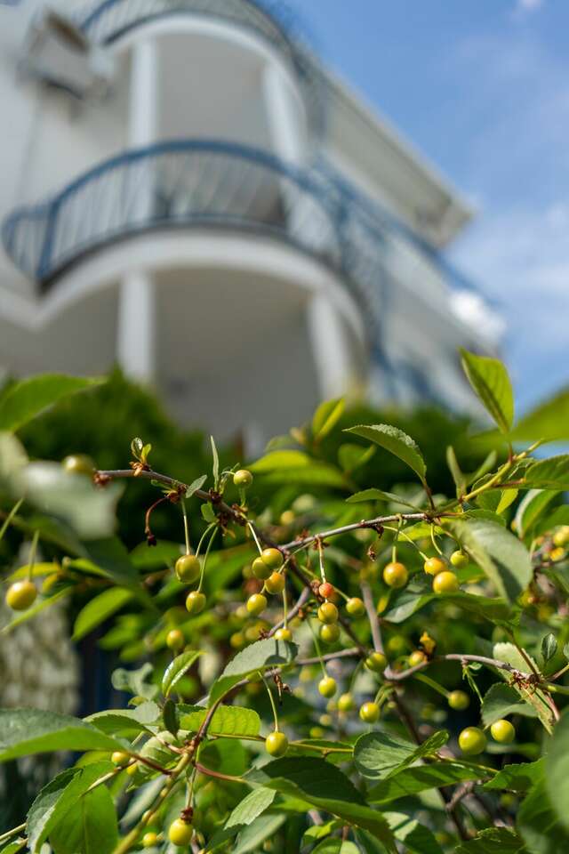 Гостевой дом Дуэт Анапа-31