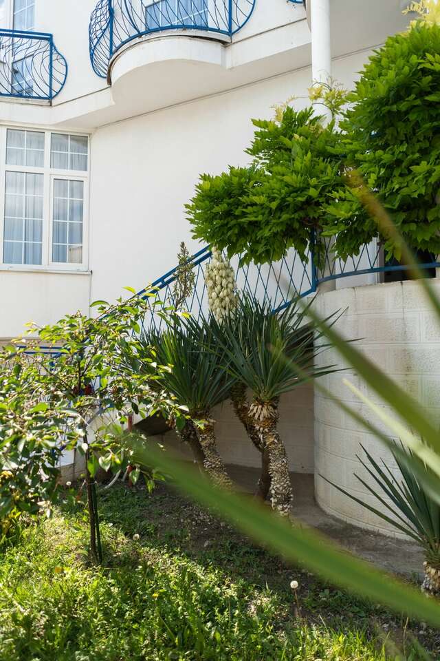 Гостевой дом Дуэт Анапа-53