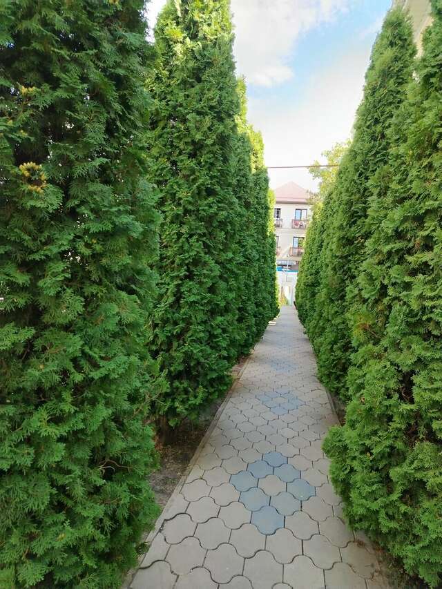 Гостевой дом Дуэт Анапа-149