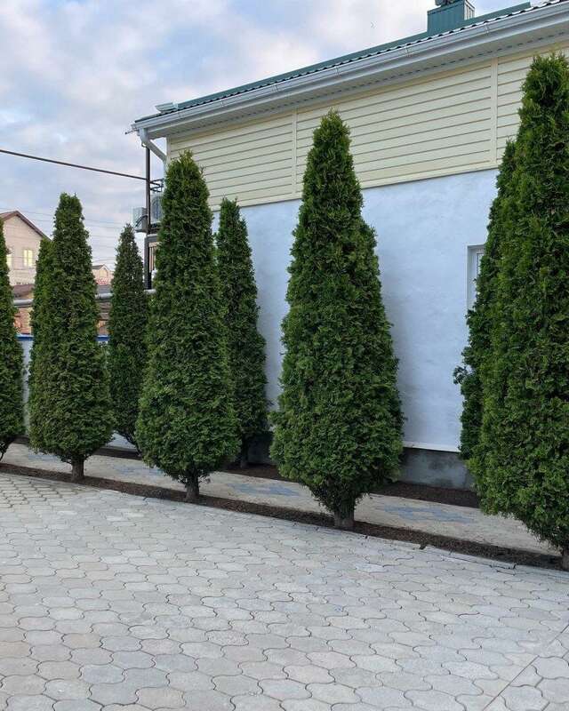 Гостевой дом Дуэт Анапа-71