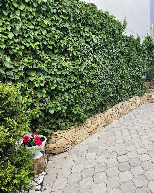 Гостевой дом Дуэт Анапа-49